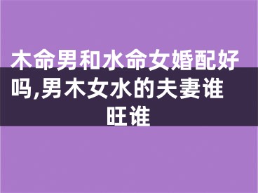 木命男和水命女婚配好吗,男木女水的夫妻谁旺谁