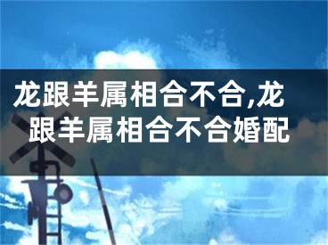 龙跟羊属相合不合,龙跟羊属相合不合婚配