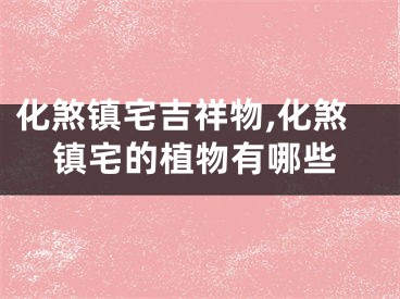 化煞镇宅吉祥物,化煞镇宅的植物有哪些