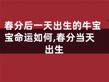 春分后一天出生的牛宝宝命运如何,春分当天出生