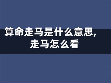 算命走马是什么意思,走马怎么看