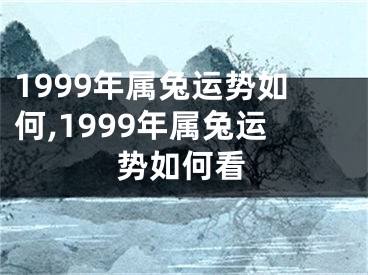 1999年属兔运势如何,1999年属兔运势如何看