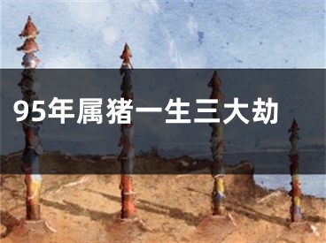 95年属猪一生三大劫