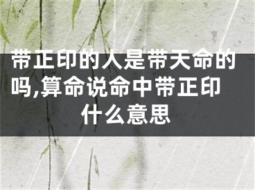 带正印的人是带天命的吗,算命说命中带正印什么意思