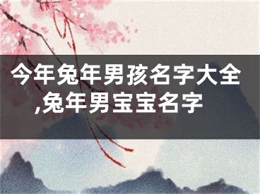 今年兔年男孩名字大全,兔年男宝宝名字