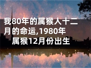 我80年的属猴人十二月的命运,1980年属猴12月份出生