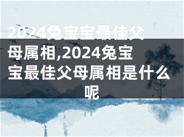 2024兔宝宝最佳父母属相,2024兔宝宝最佳父母属相是什么呢