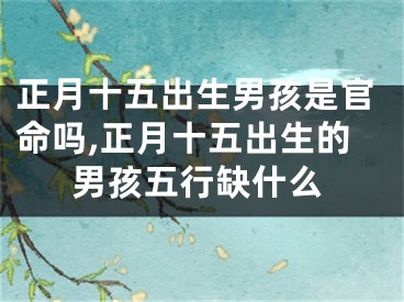 正月十五出生男孩是官命吗,正月十五出生的男孩五行缺什么