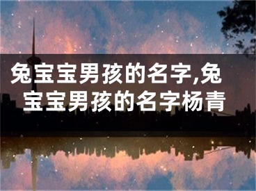 兔宝宝男孩的名字,兔宝宝男孩的名字杨青
