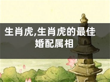 生肖虎,生肖虎的最佳婚配属相