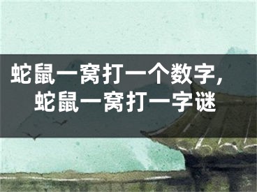 蛇鼠一窝打一个数字,蛇鼠一窝打一字谜