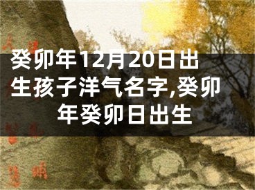 癸卯年12月20日出生孩子洋气名字,癸卯年癸卯日出生