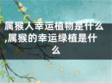 属猴人幸运植物是什么,属猴的幸运绿植是什么