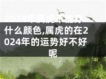 2024年属虎不能穿什么颜色,属虎的在2024年的运势好不好呢