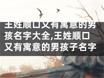 王姓顺口又有寓意的男孩名字大全,王姓顺口又有寓意的男孩子名字