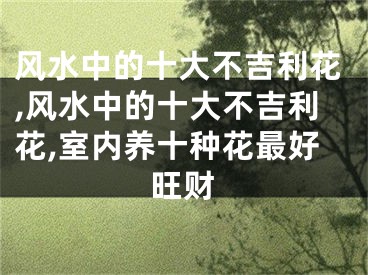 风水中的十大不吉利花,风水中的十大不吉利花,室内养十种花最好旺财
