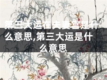 第三大运在夫妻宫是什么意思,第三大运是什么意思