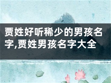 贾姓好听稀少的男孩名字,贾姓男孩名字大全