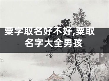 粟字取名好不好,粟取名字大全男孩