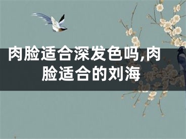 肉脸适合深发色吗,肉脸适合的刘海