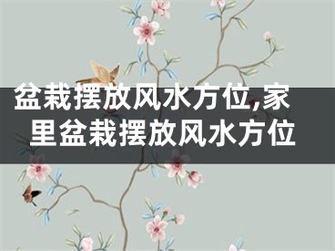 盆栽摆放风水方位,家里盆栽摆放风水方位