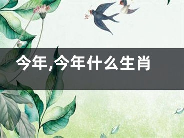 今年,今年什么生肖