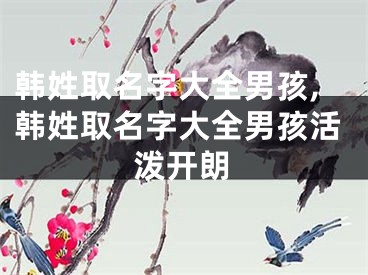 韩姓取名字大全男孩,韩姓取名字大全男孩活泼开朗