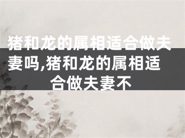 猪和龙的属相适合做夫妻吗,猪和龙的属相适合做夫妻不