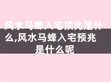 风水马蜂入宅预兆是什么,风水马蜂入宅预兆是什么呢