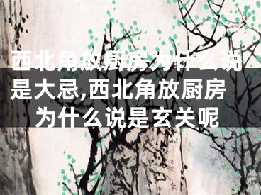 西北角放厨房为什么说是大忌,西北角放厨房为什么说是玄关呢