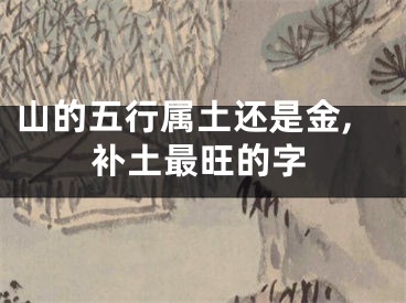 山的五行属土还是金,补土最旺的字