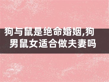 狗与鼠是绝命婚姻,狗男鼠女适合做夫妻吗