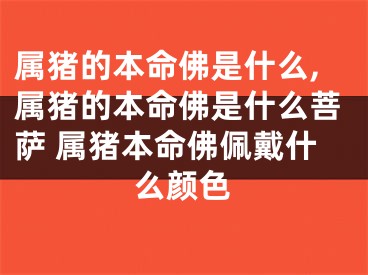 属猪的本命佛是什么,属猪的本命佛是什么菩萨 属猪本命佛佩戴什么颜色