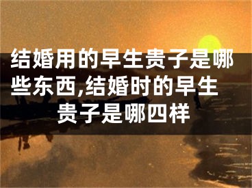 结婚用的早生贵子是哪些东西,结婚时的早生贵子是哪四样