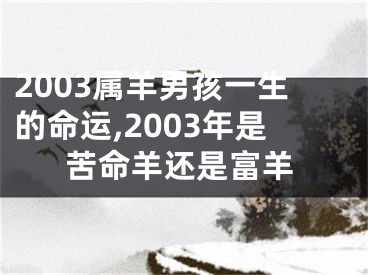 2003属羊男孩一生的命运,2003年是苦命羊还是富羊