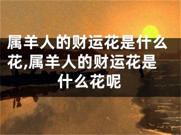 属羊人的财运花是什么花,属羊人的财运花是什么花呢