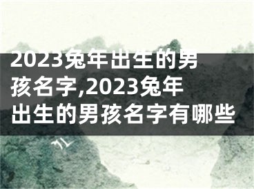 2023兔年出生的男孩名字,2023兔年出生的男孩名字有哪些