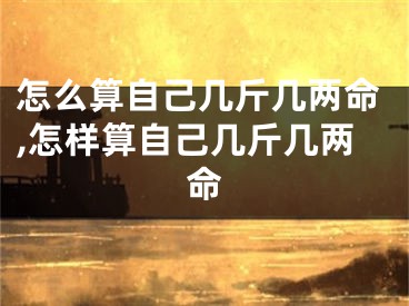 怎么算自己几斤几两命,怎样算自己几斤几两命