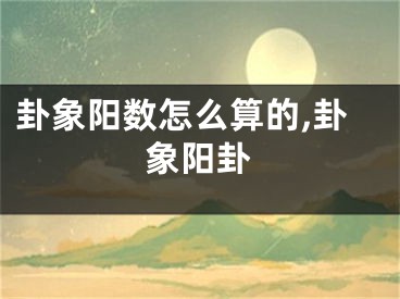 卦象阳数怎么算的,卦象阳卦