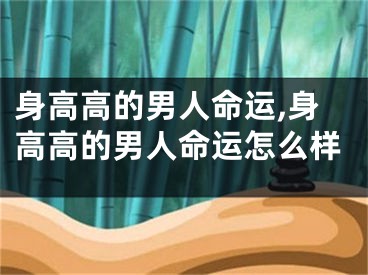 身高高的男人命运,身高高的男人命运怎么样