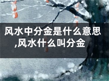 风水中分金是什么意思,风水什么叫分金