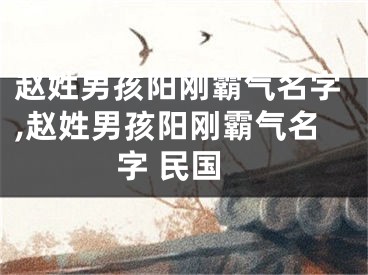 赵姓男孩阳刚霸气名字,赵姓男孩阳刚霸气名字 民国