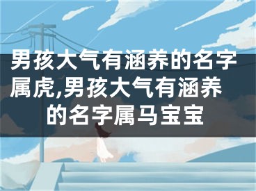 男孩大气有涵养的名字属虎,男孩大气有涵养的名字属马宝宝