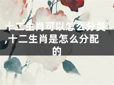 十二生肖可以怎么分类,十二生肖是怎么分配的