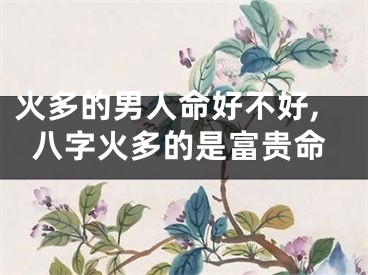 火多的男人命好不好,八字火多的是富贵命