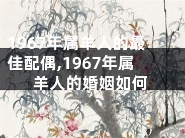 1967年属羊人的最佳配偶,1967年属羊人的婚姻如何
