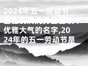 2024年五一劳动节出生的属虎男宝宝缺木优雅大气的名字,2024年的五一劳动节是星期几