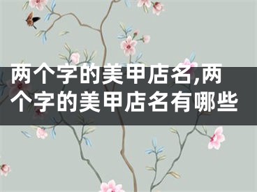 两个字的美甲店名,两个字的美甲店名有哪些