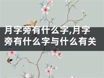 月字旁有什么字,月字旁有什么字与什么有关