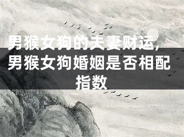 男猴女狗的夫妻财运,男猴女狗婚姻是否相配指数